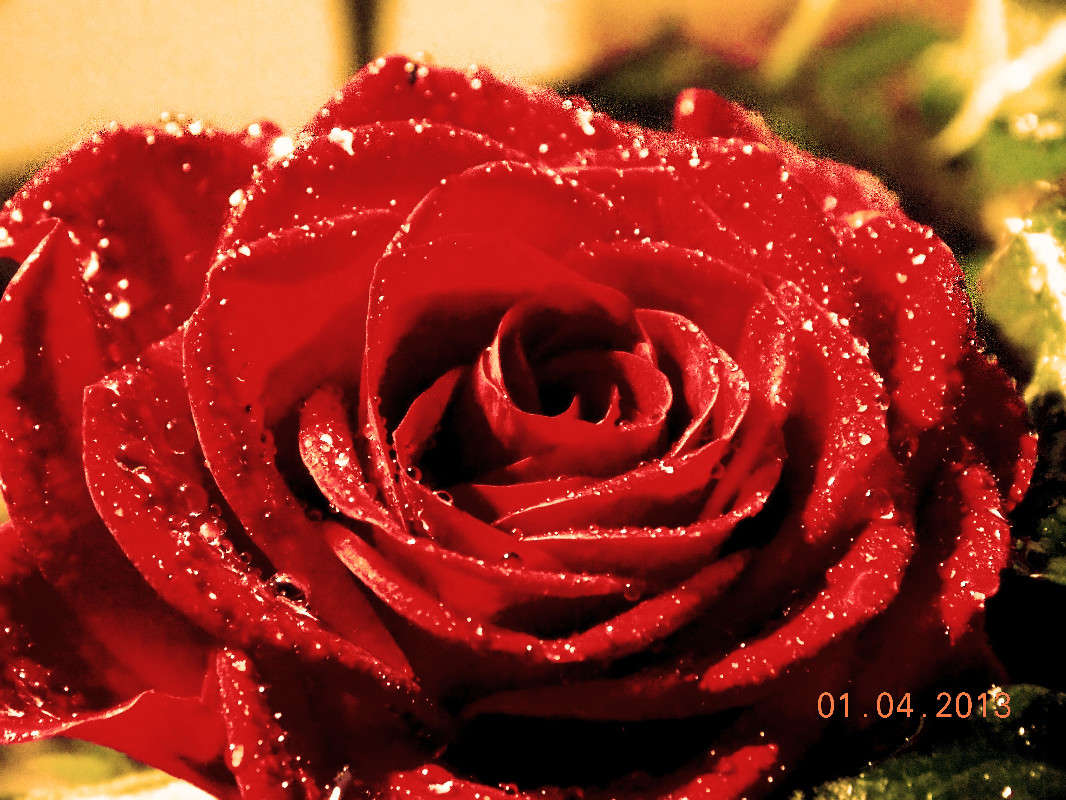 ���� ����� ��������� �������� �� PhotoGeek.ru #����� #����� ��������������