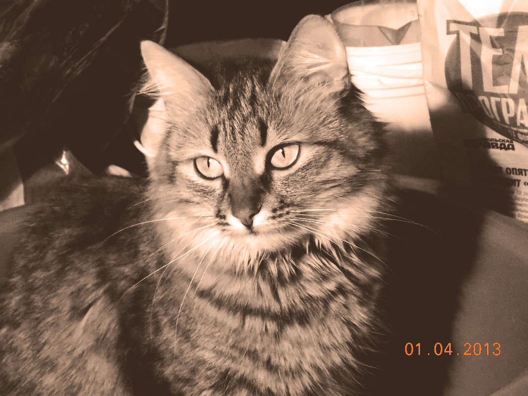 ... ����� ��������� �������� �� PhotoGeek.ru #�������� ��� #�������� ���