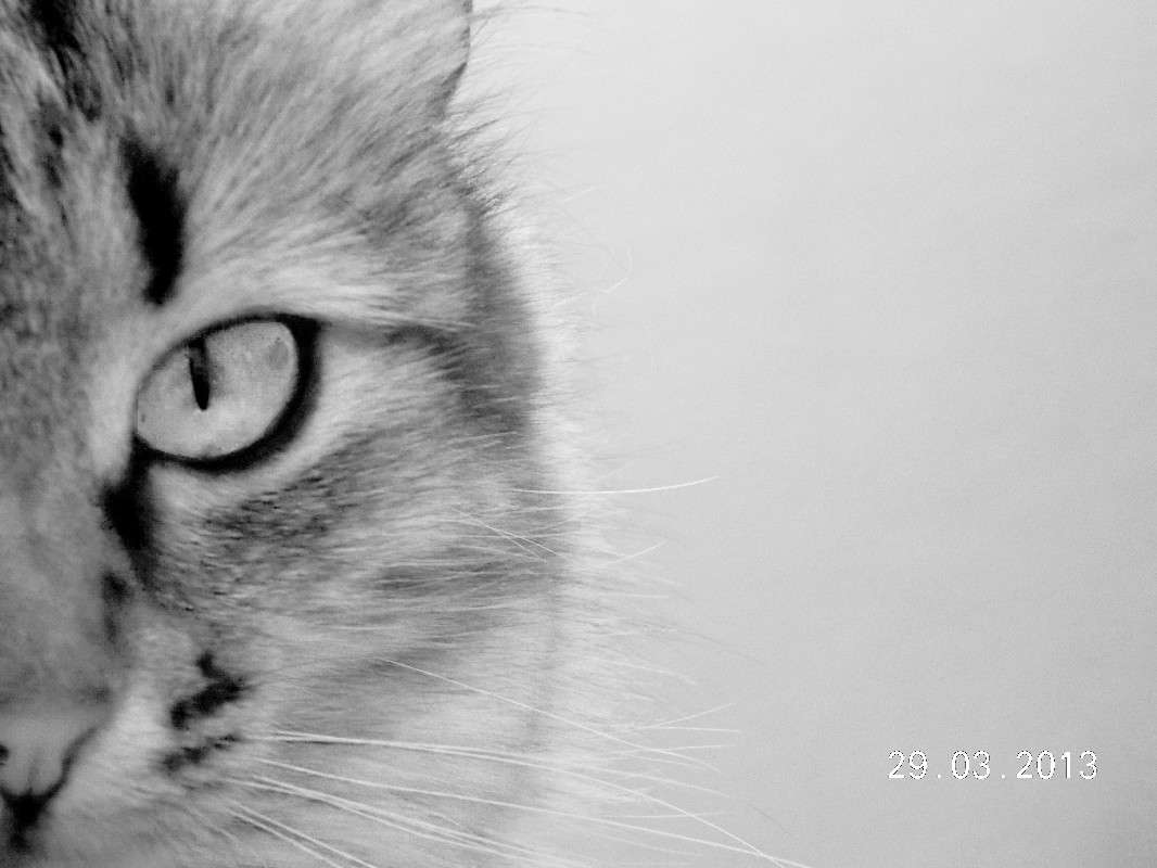 .... ����� ��������� �������� �� PhotoGeek.ru #�������� ��� #�������� ���