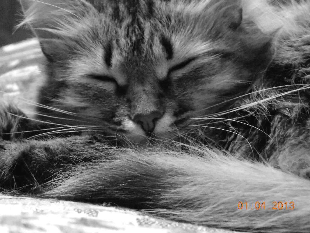 ������� ���.. ����� ��������� �������� �� PhotoGeek.ru #�������� ��� #�������� ���