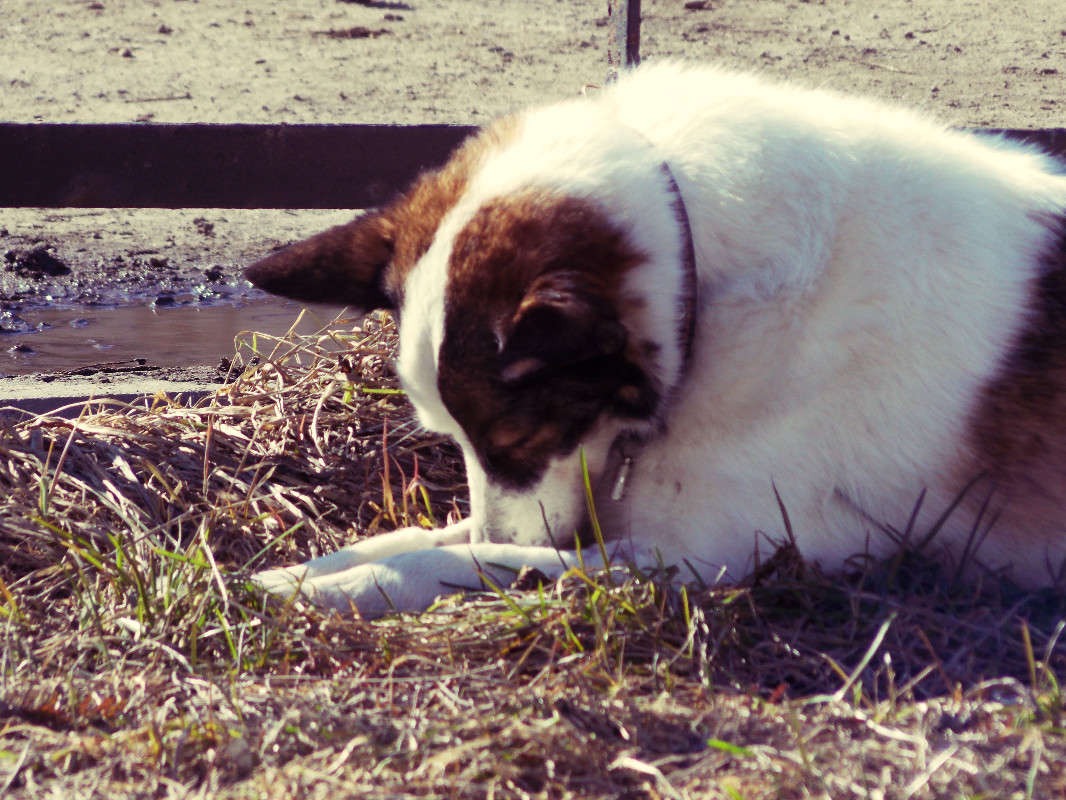 ��� ����� ����� ����� ��������� �������� �� PhotoGeek.ru #�������� ���