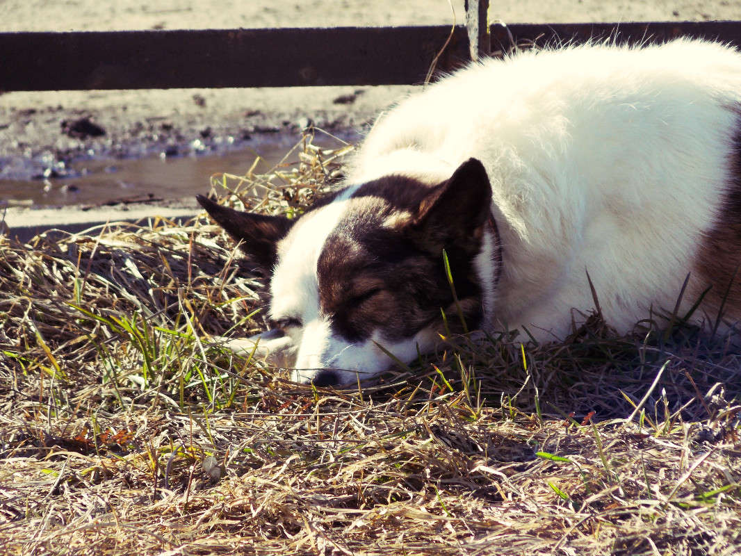 �� �������� ����� ��������� �������� �� PhotoGeek.ru #�������� ���