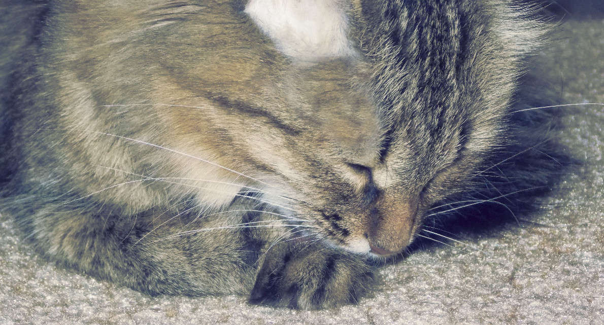 *** ����� ��������� �������� �� PhotoGeek.ru #�������� ��� #�������� ���