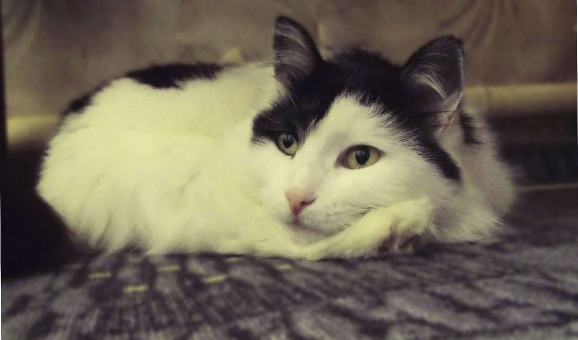 �� ����� ������ �� ������ ����))) ����� ��������� �������� �� PhotoGeek.ru #�������� ��� #�������� ���