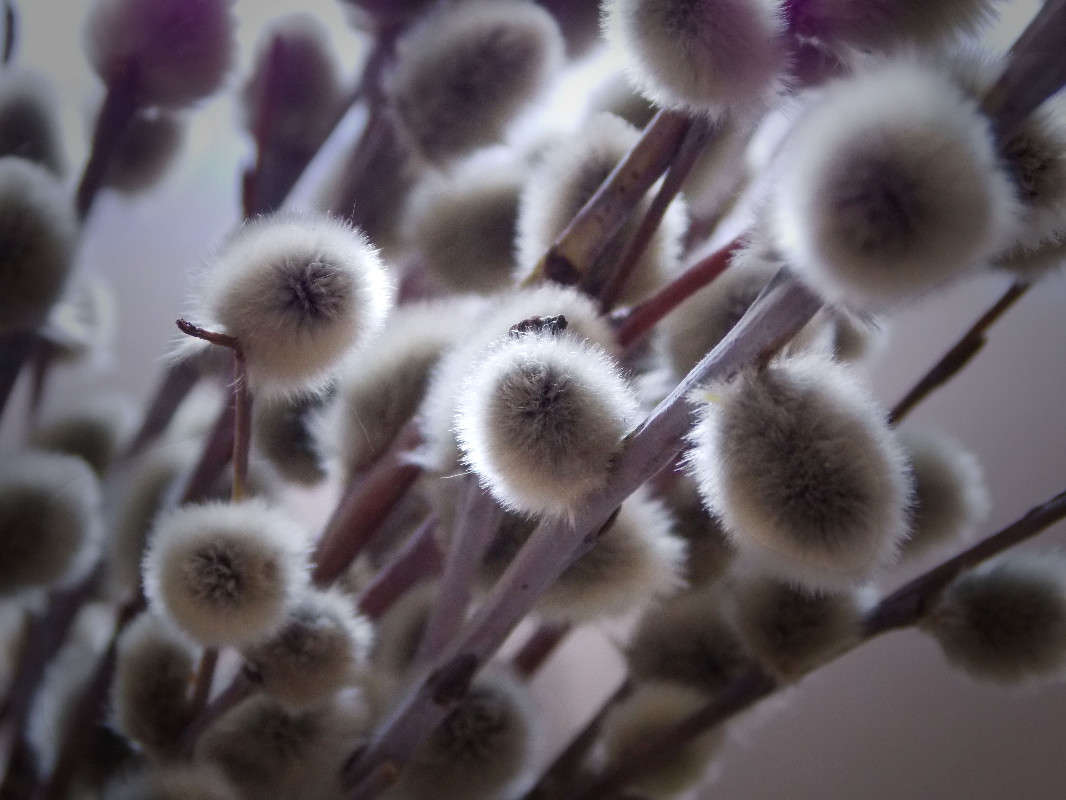 ����� ����� ��������� �������� �� PhotoGeek.ru #����� #����� ��������������