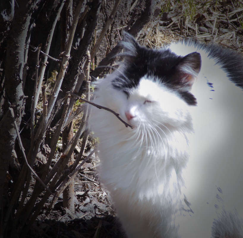 ����� ����� ����� ��������� �������� �� PhotoGeek.ru #�������� ��� #�������� ���