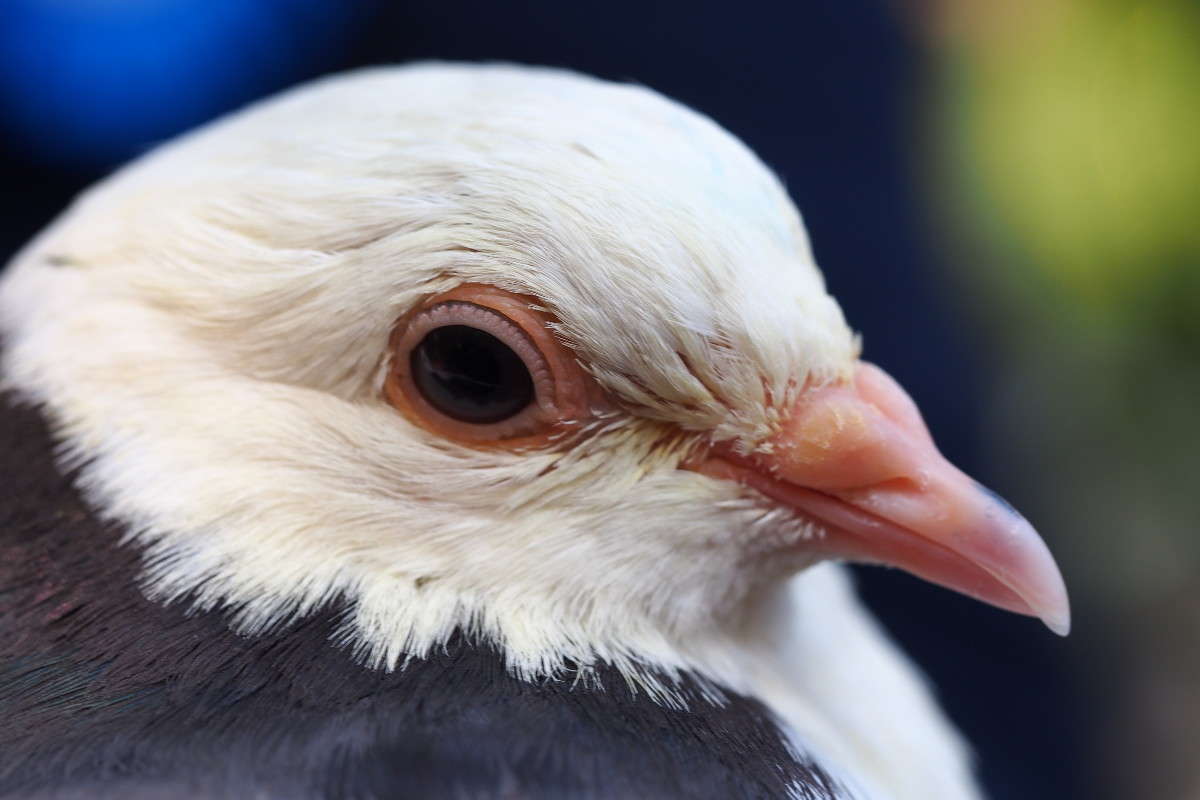 ������ ����� ������ ����������� �� PhotoGeek.ru #�������� ���