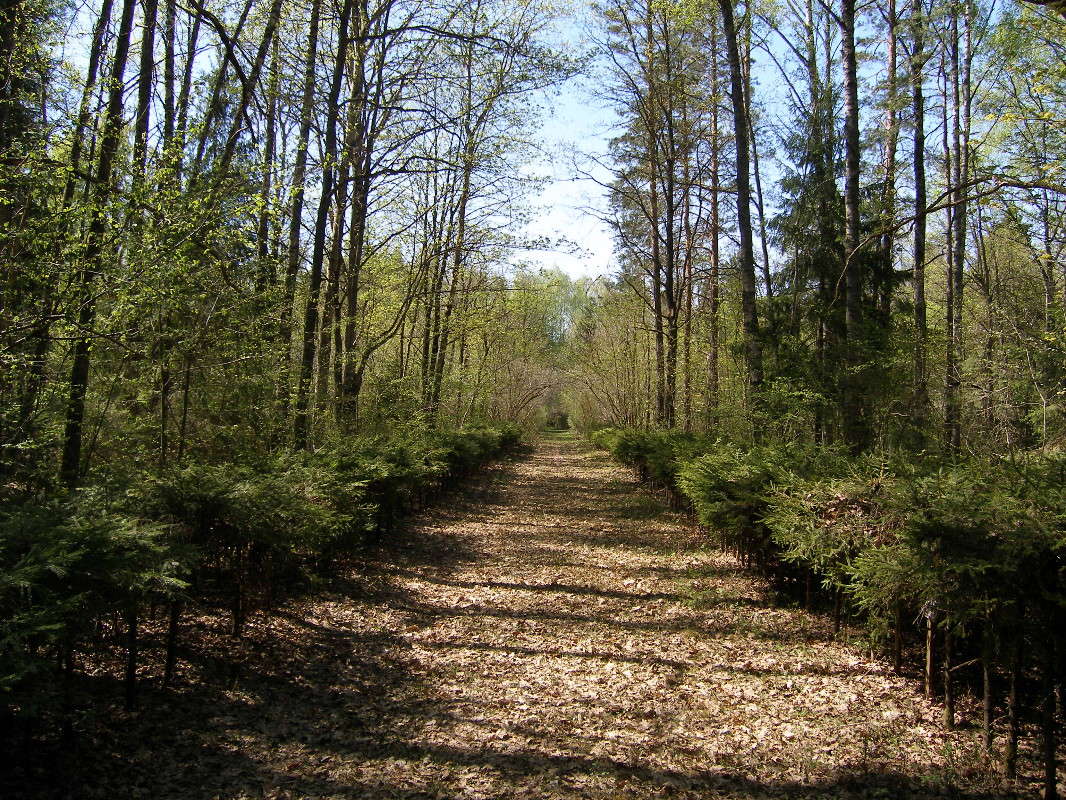 ����� ����� ������ ����������� �� PhotoGeek.ru #������ ��� �������