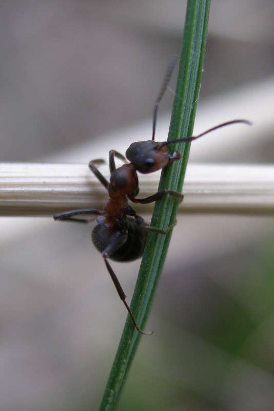 ������� ����� ������ ����������� �� PhotoGeek.ru #�����