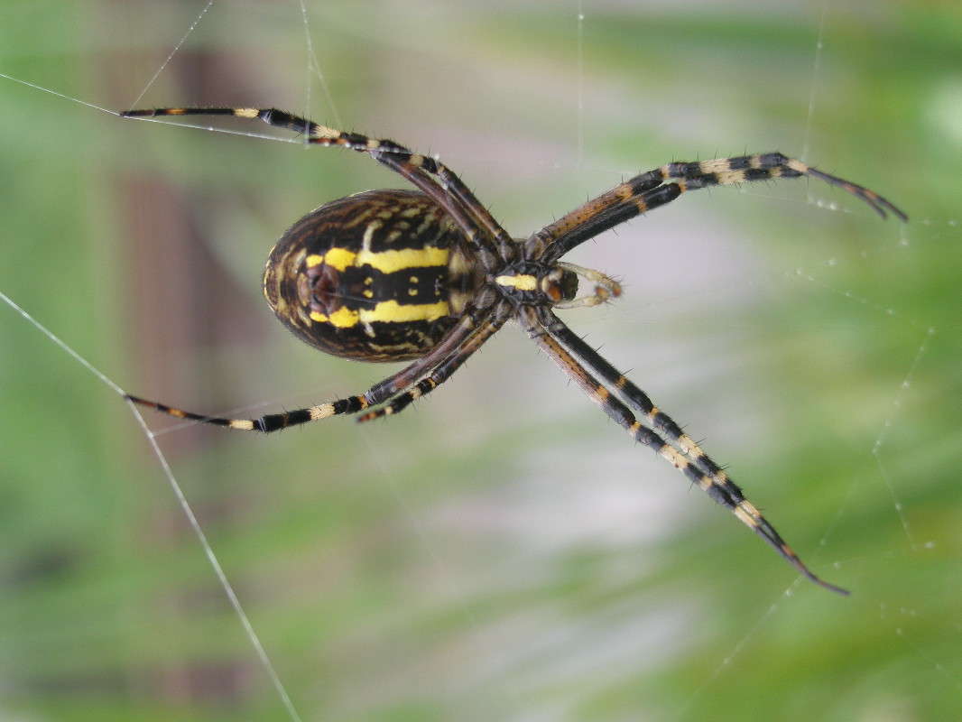 ���� ����� ������ ����������� �� PhotoGeek.ru #�����