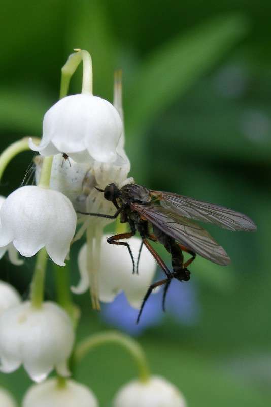 ... ����� ������ ����������� �� PhotoGeek.ru #�����