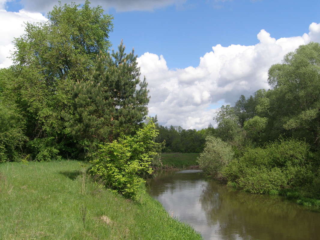 ������ � ������ ����� ������ ����������� �� PhotoGeek.ru #������ ��� �������