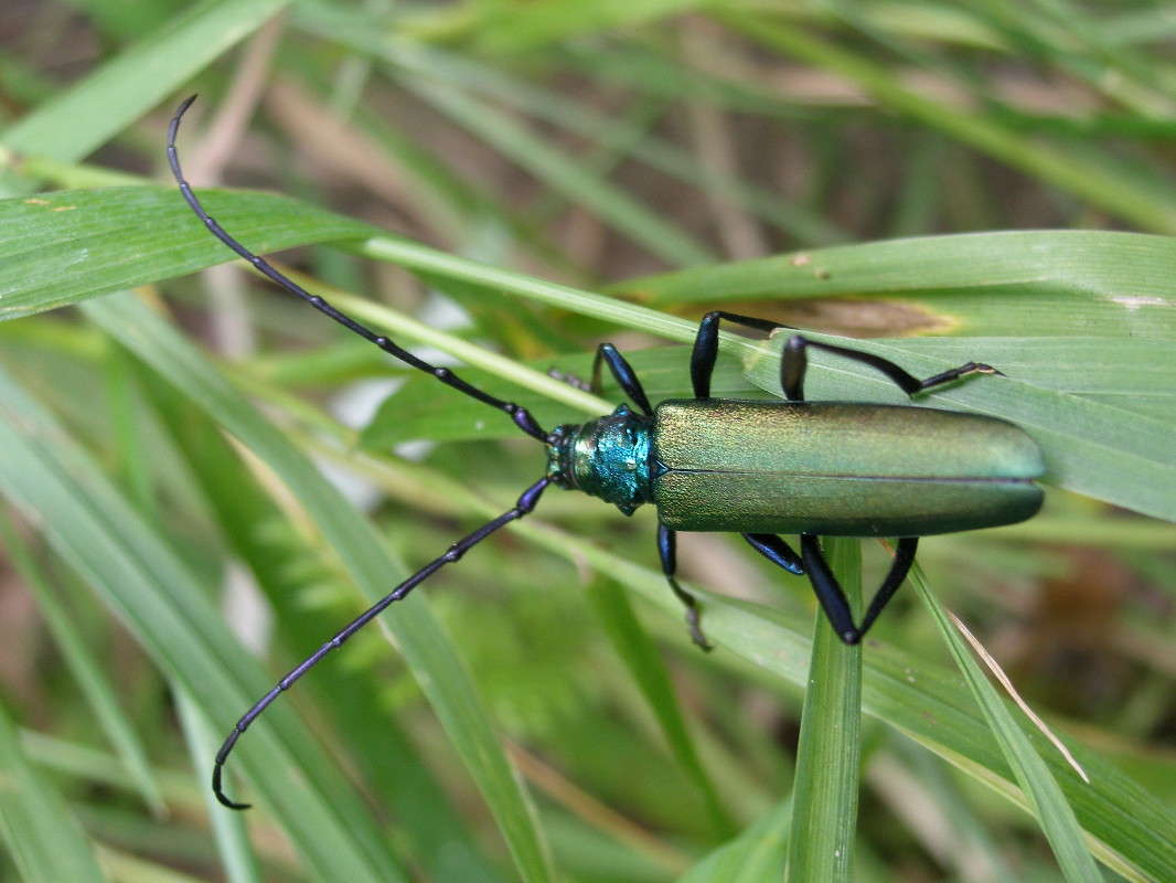 ... ����� ������ ����������� �� PhotoGeek.ru #�����