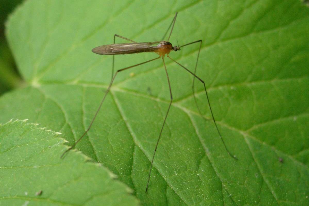 ����������� ����� ������ ����������� �� PhotoGeek.ru #����� #���������