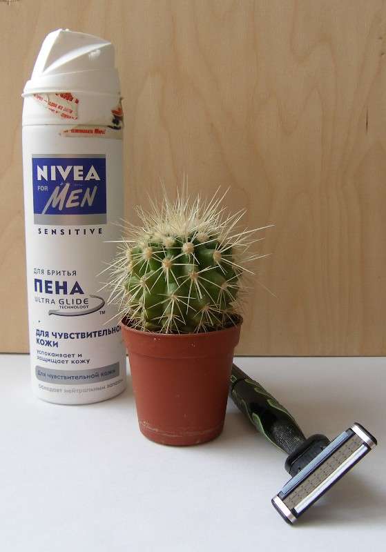 ���������� ��������� ����� ������ ����������� �� PhotoGeek.ru #�������� ���������� #�������������