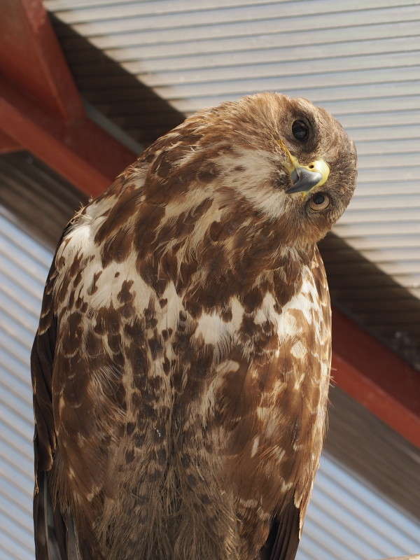 �������������? ����� ������ ����������� �� PhotoGeek.ru #�������� ��� #����� ��� ��� ���������