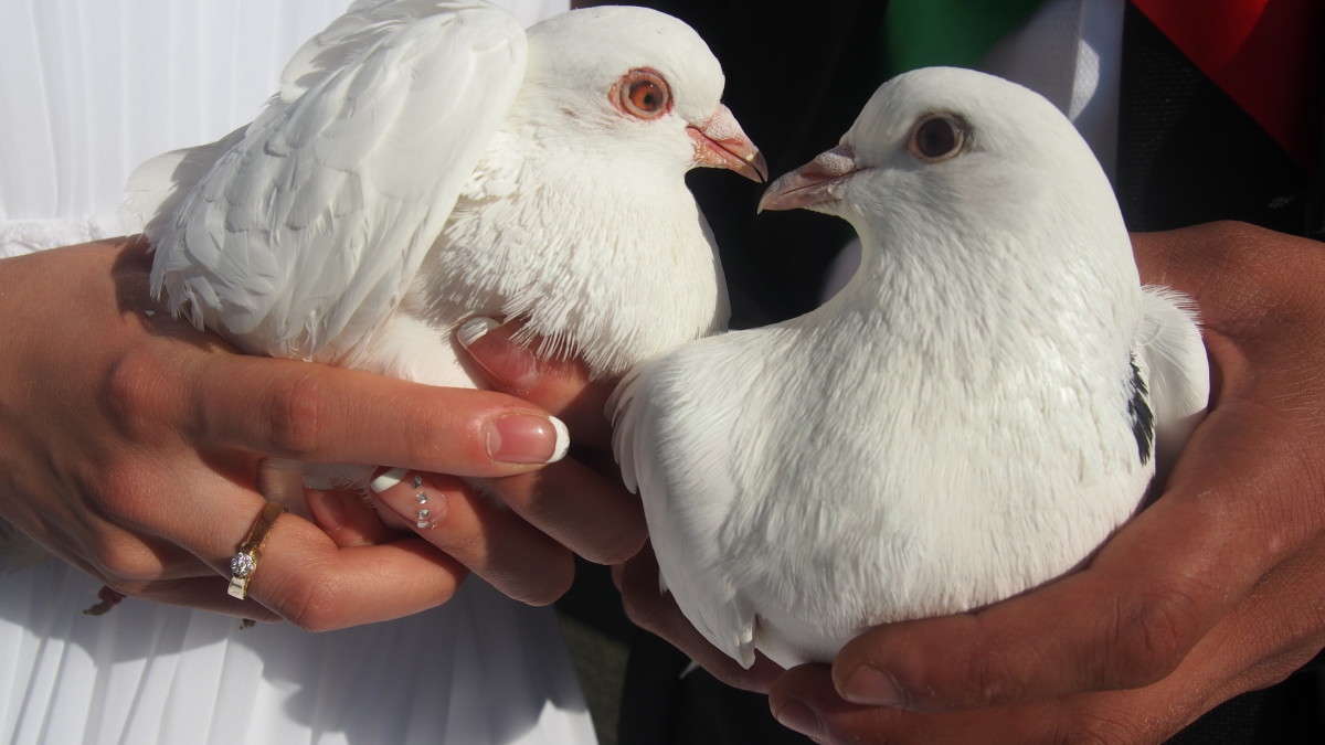 ������ ��� ����������� ����� ������ ����������� �� PhotoGeek.ru #��������� ����������