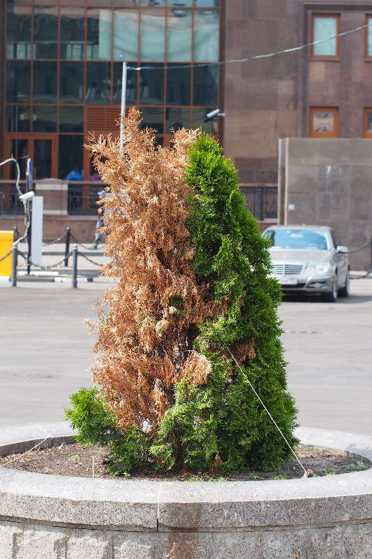 ������ ������� ����� ������ ����������� �� PhotoGeek.ru #����� #������ ��� ������� #����� ��������������