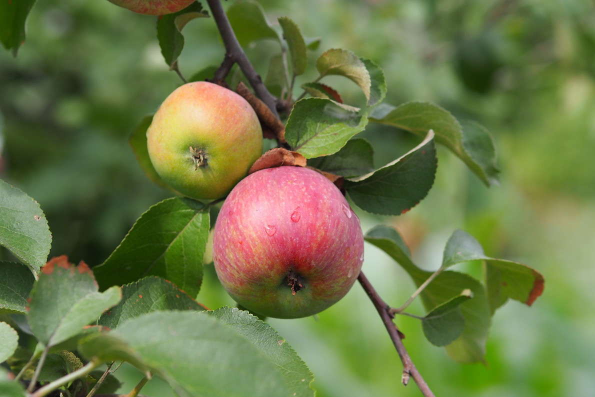 ������� ����� ������ ����������� �� PhotoGeek.ru #������ ��� ������� #����� ��������������