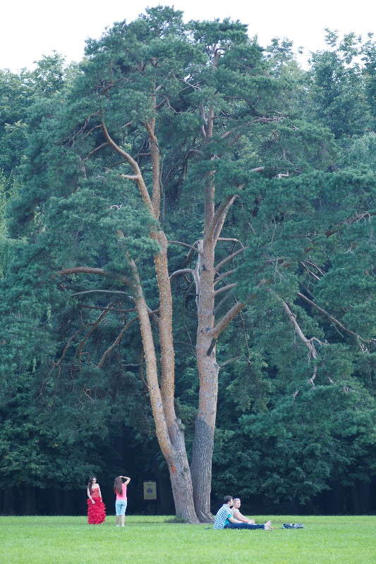 � ����� ����� ������ ����������� �� PhotoGeek.ru #������ ��� ������� #����� ��������������