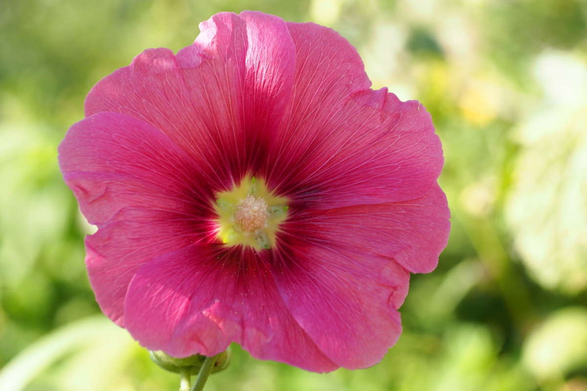 ... ����� ������ ����������� �� PhotoGeek.ru #������ ��� ������� #����� ��������������