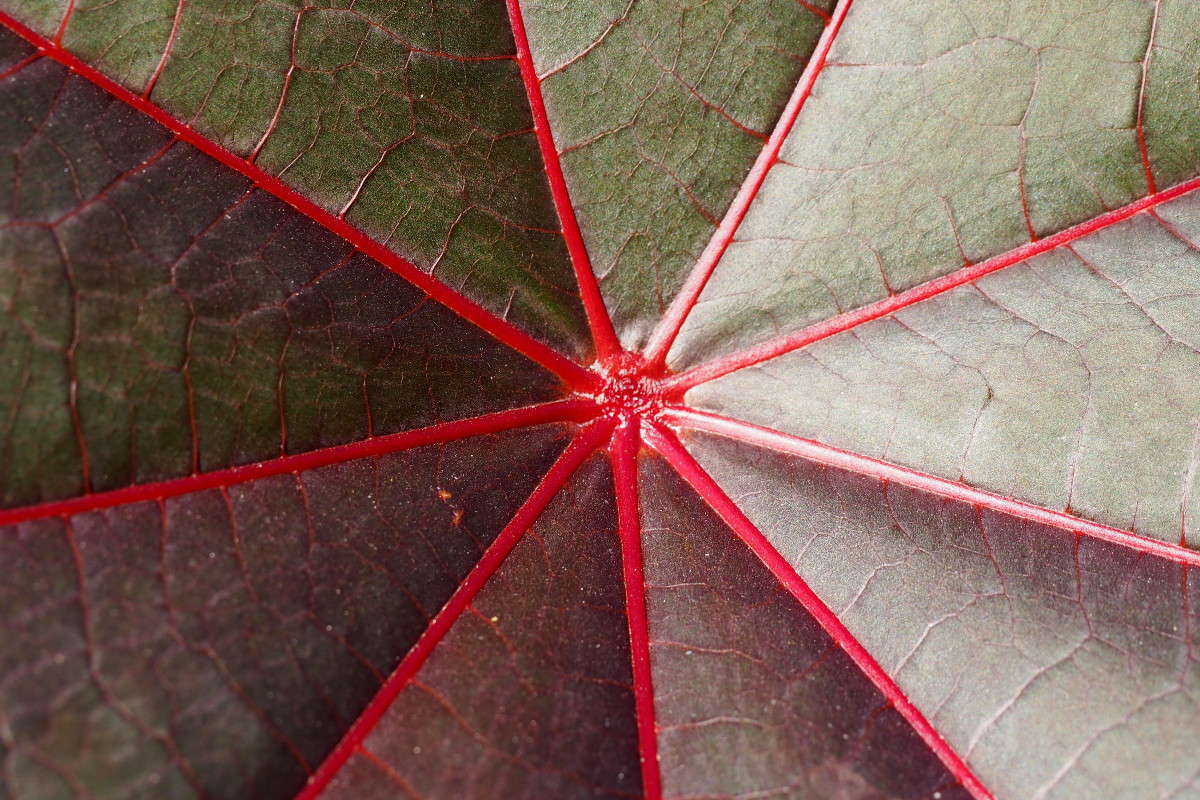 � ������ ����� ������ ����������� �� PhotoGeek.ru #������ ��� ������� #����� ��������������