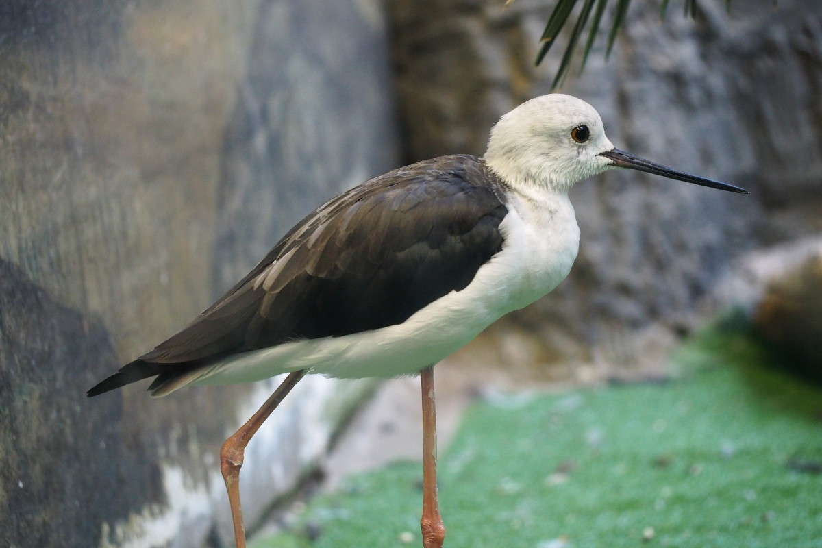 �� ����� "���������� �������" ����� ������ ����������� �� PhotoGeek.ru #�������� ���