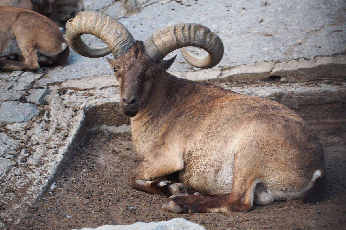 �� ����� "���������� �������" ����� ������ ����������� �� PhotoGeek.ru #�������� ���