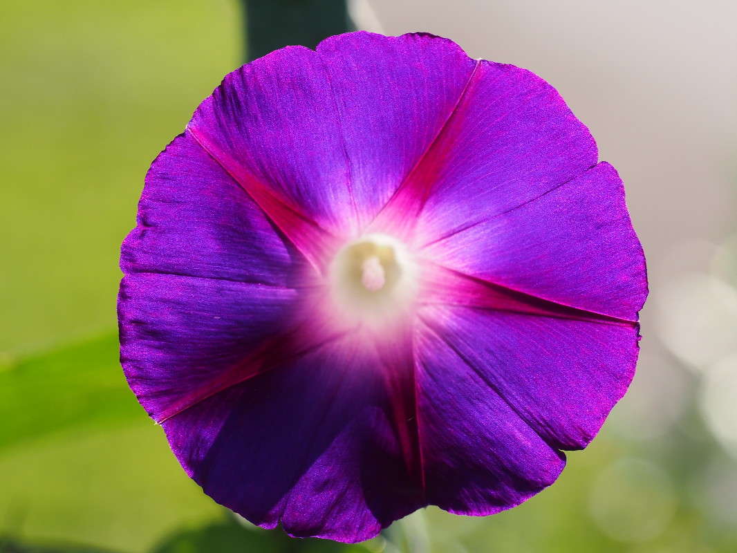 ������ ����� ������ ����������� �� PhotoGeek.ru #������ ��� �������