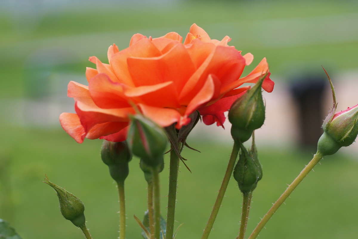 ���� ����� ������ ����������� �� PhotoGeek.ru #������ ��� ������� #����� ��������������