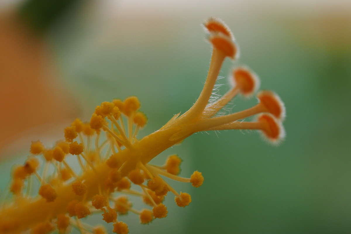 ��� ������� � �������� ����� ������ ����������� �� PhotoGeek.ru #����� #����� ��������������