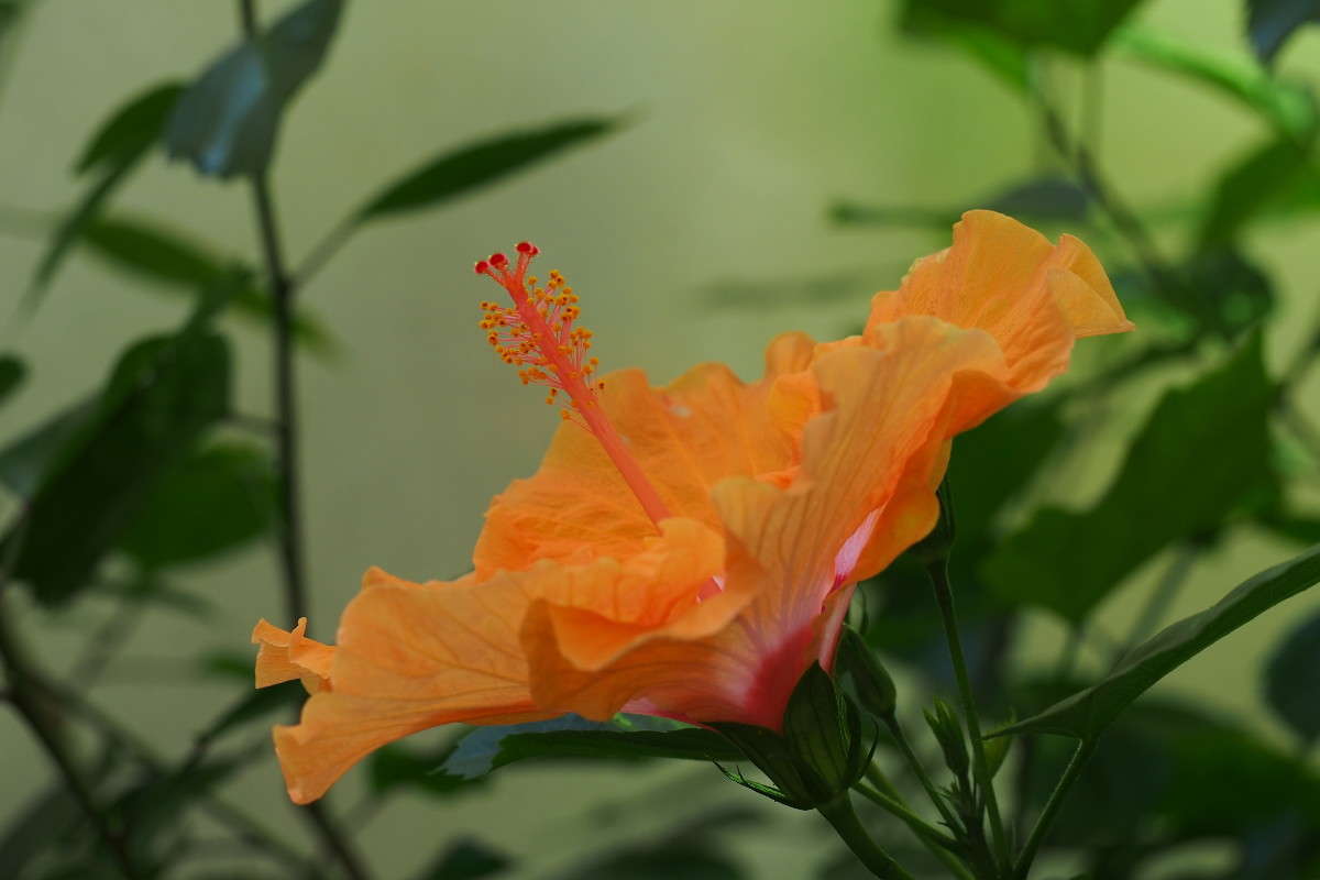 "����������� "�������" ����� ������ ����������� �� PhotoGeek.ru #������ ��� ������� #����� ��������������