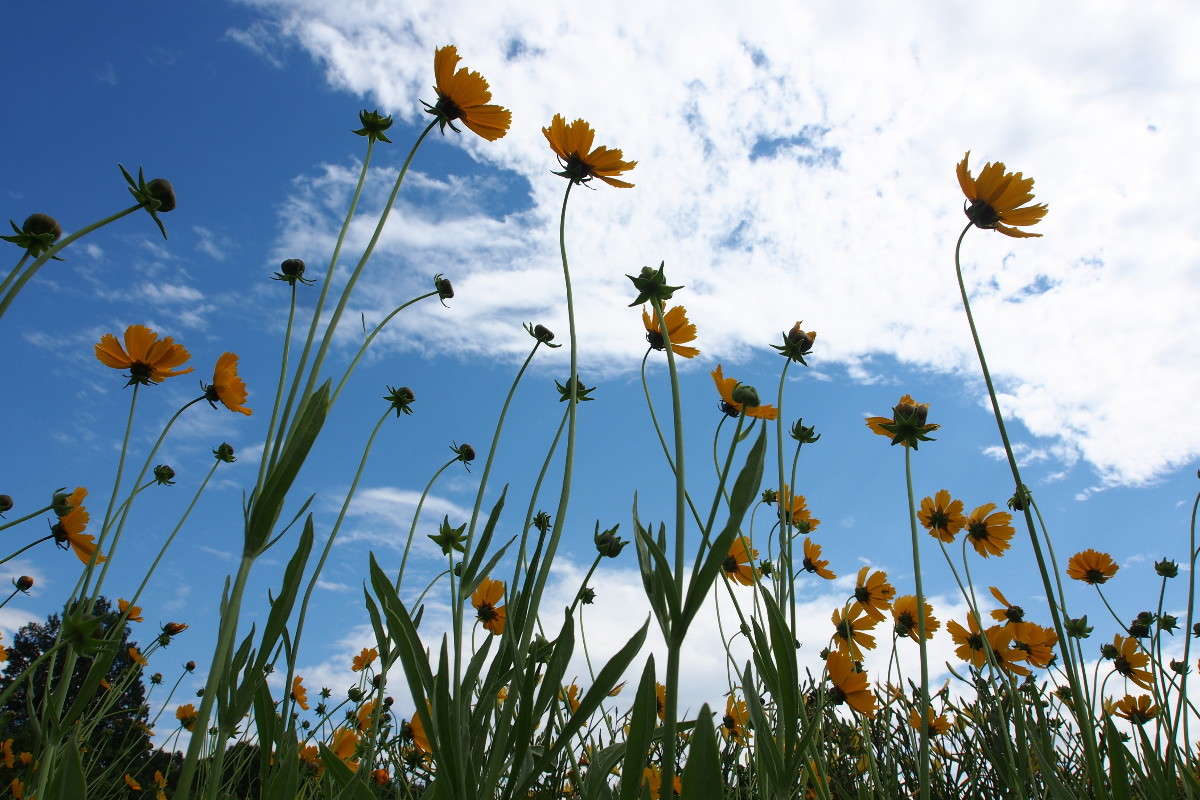 ����� � ���� ����� ������ ����������� �� PhotoGeek.ru #������ ��� ������� #����� ��������������