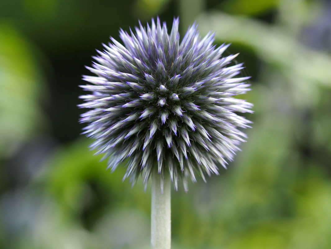 "����" ����� ������ ����������� �� PhotoGeek.ru #������ ��� ������� #����� ��������������