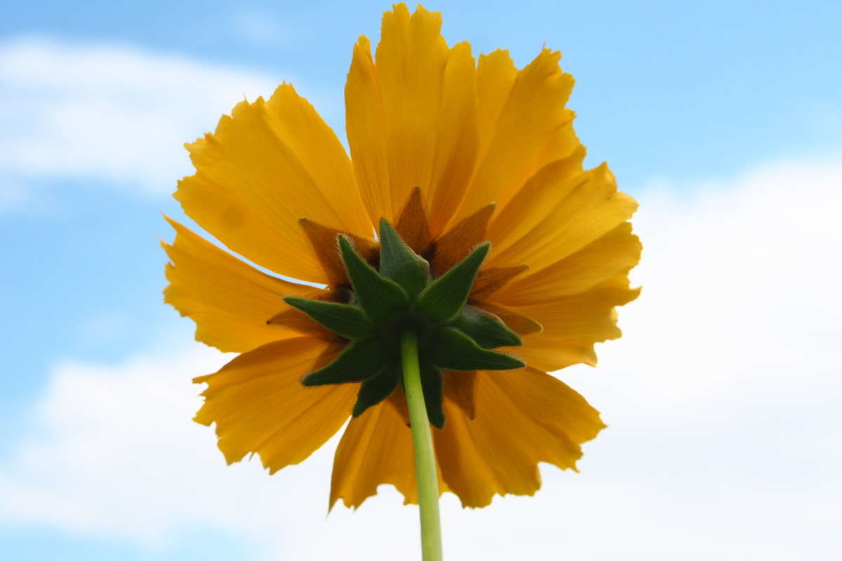 ���������� ����� ������ ����������� �� PhotoGeek.ru #������ ��� ������� #����� ��������������