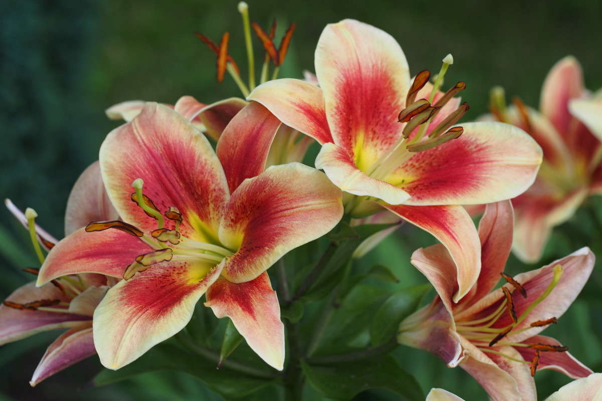 ����� ����� ������ ����������� �� PhotoGeek.ru #������ ��� �������