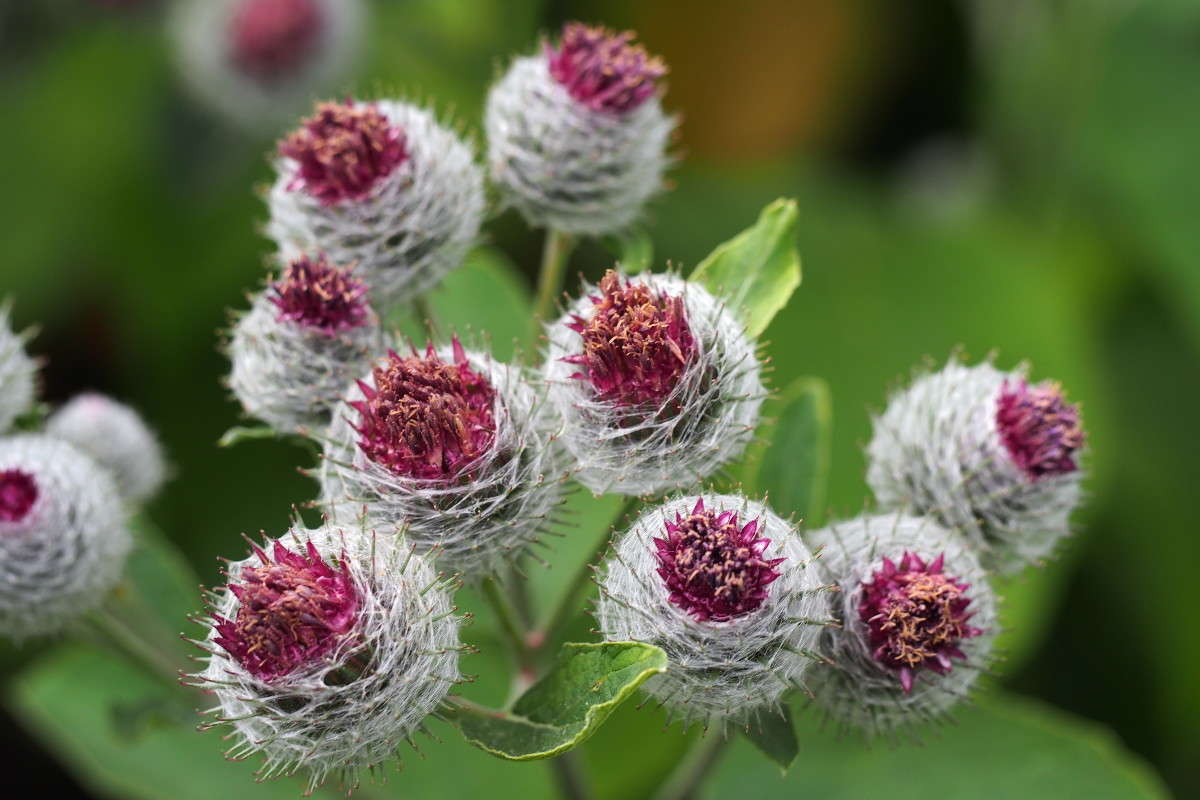 ������� ������� ����� ������ ����������� �� PhotoGeek.ru #������ ��� ������� #����� ��������������