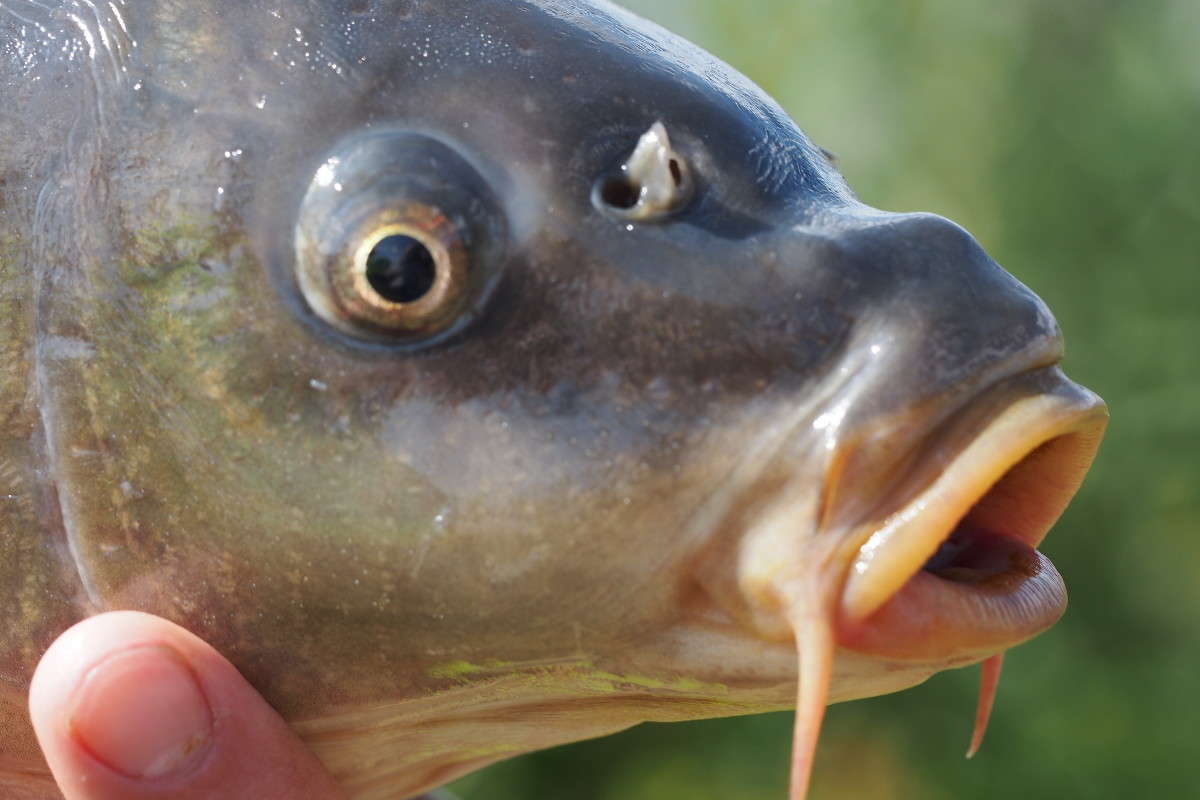 ������� ���� ����� ������ ����������� �� PhotoGeek.ru #�������� ��� #����� ��� ��� ���������