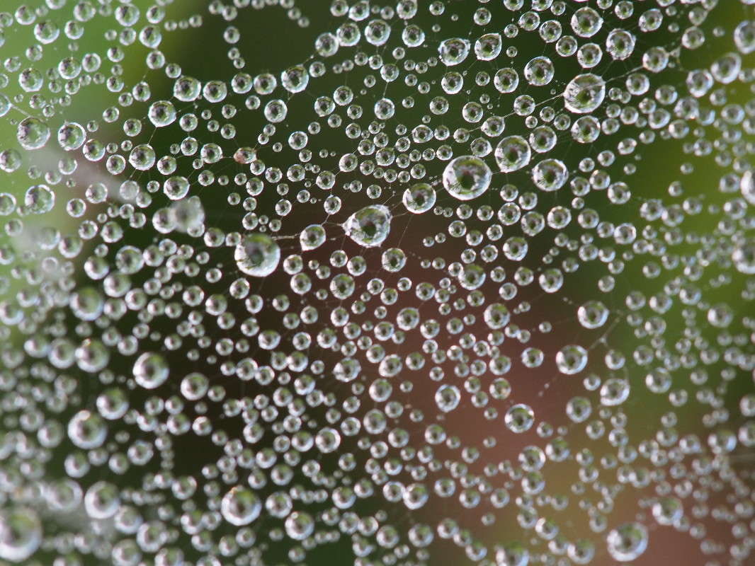 ���� �� ������� ����� ������ ����������� �� PhotoGeek.ru #������ ��� �������