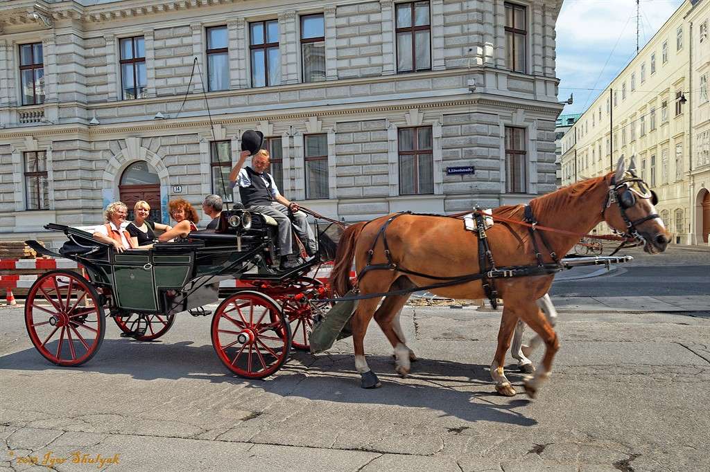 �������� ����� ����� ����� �� PhotoGeek.ru #�������� ����������