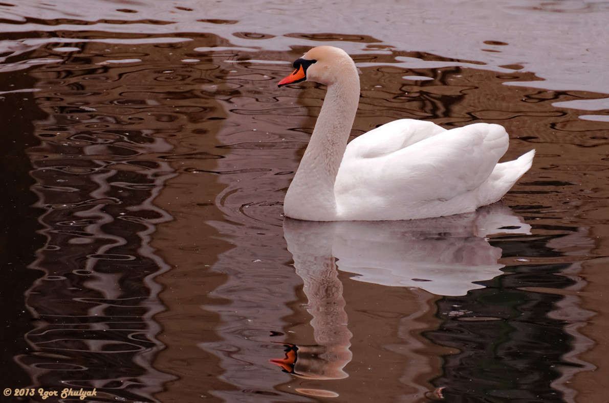 ������ � ����� ����� ����� ����� ����� �� PhotoGeek.ru #�������� ���