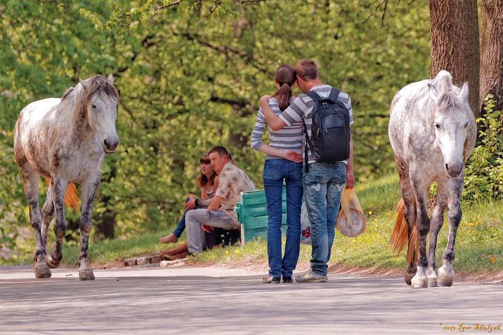 ��������� ����� ����� ����� �� PhotoGeek.ru #�������� ���