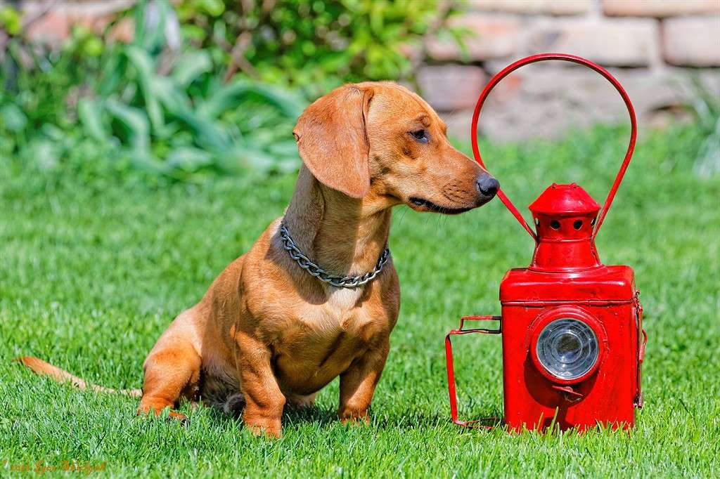 �� ������ ����� ����� ����� �� PhotoGeek.ru #�������� ���