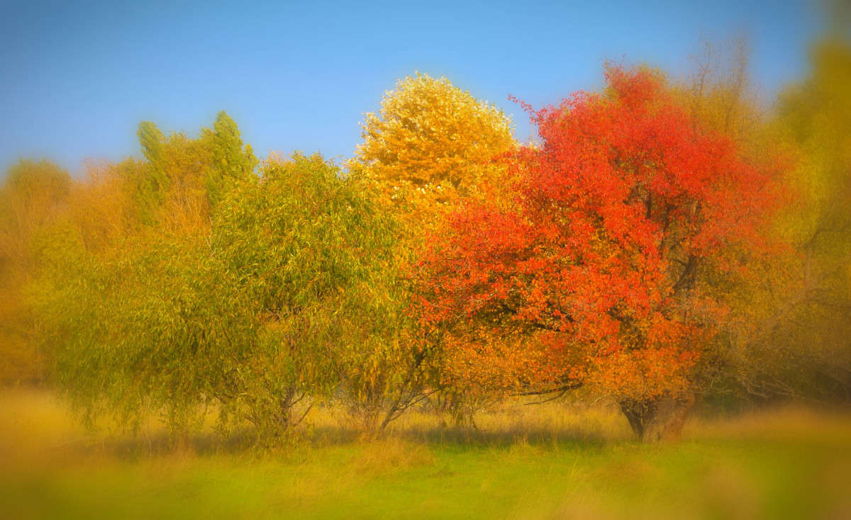 ���������� ���������� ����� ����� ����� �� PhotoGeek.ru #������ ��� �������