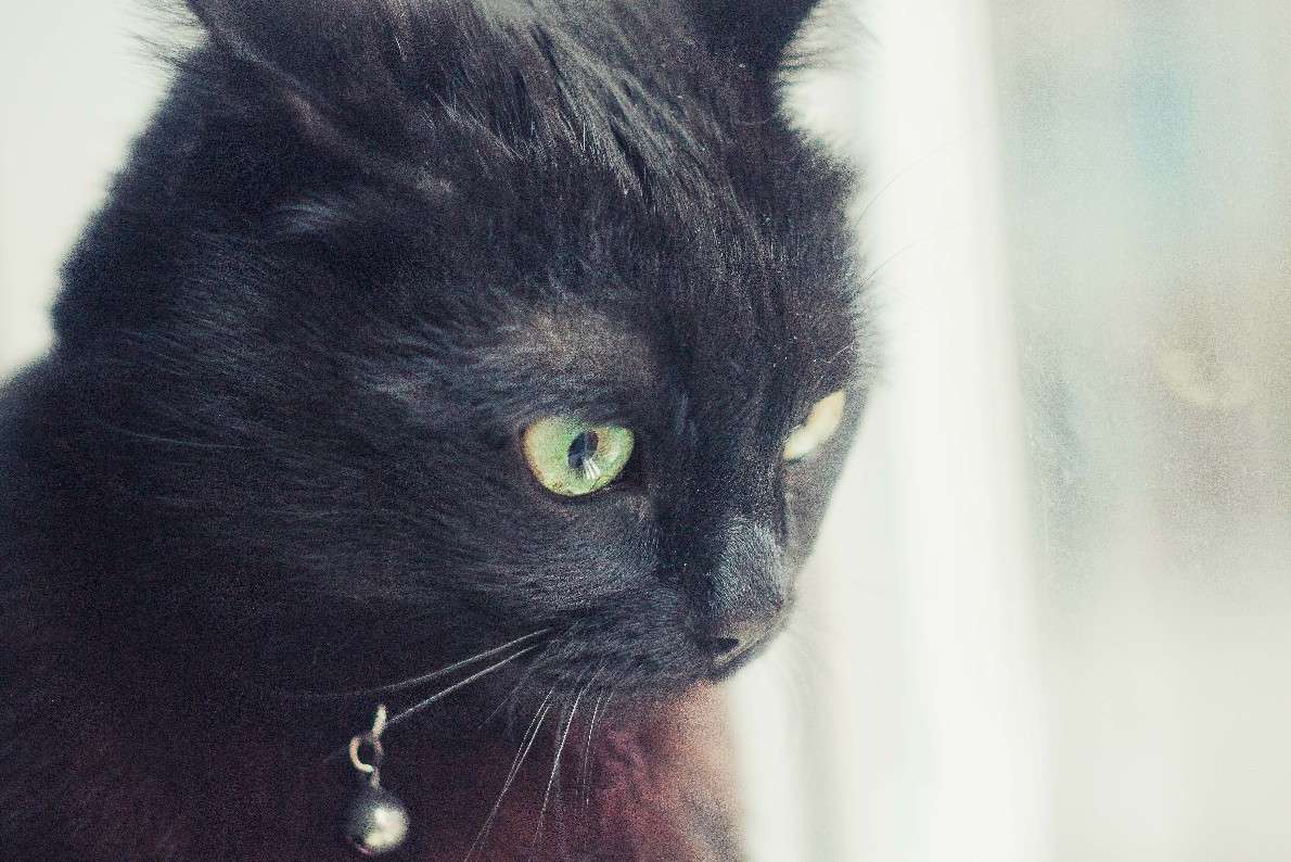 ������ ��� ����� �������  �� PhotoGeek.ru #�������� ���