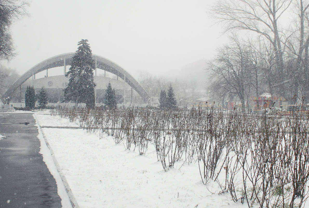 ���� ����� �������  �� PhotoGeek.ru #����� #��������� ������