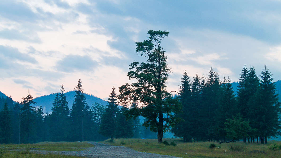 ����� � �������� ����� �������  �� PhotoGeek.ru #������ ��� �������