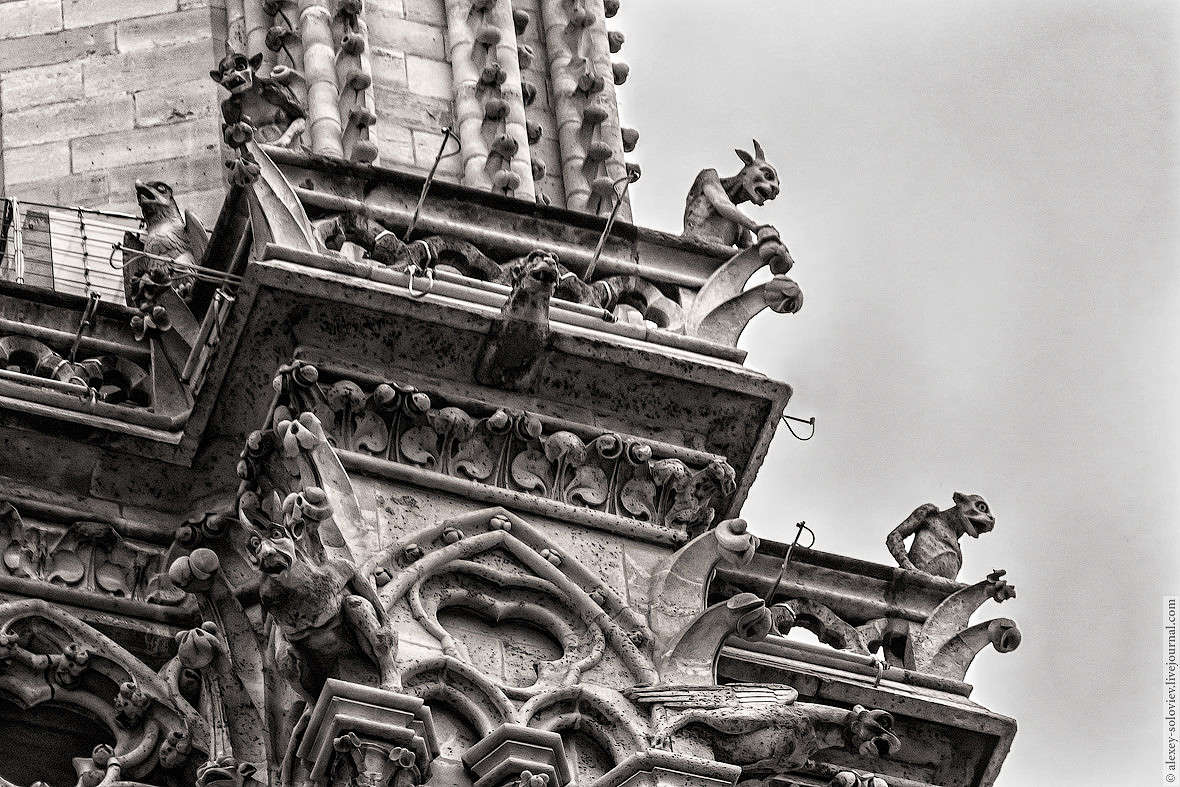 Notre Dame de Paris - 3     PhotoGeek.ru # #