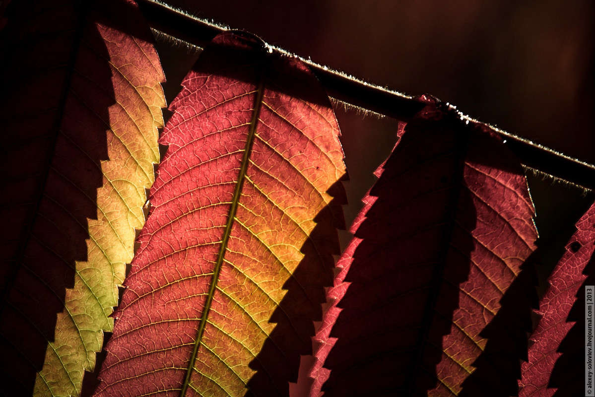 "� ����� ������� � ����� ..." ����� ������� �������� �� PhotoGeek.ru #������ ��� ������� #����� ��������������