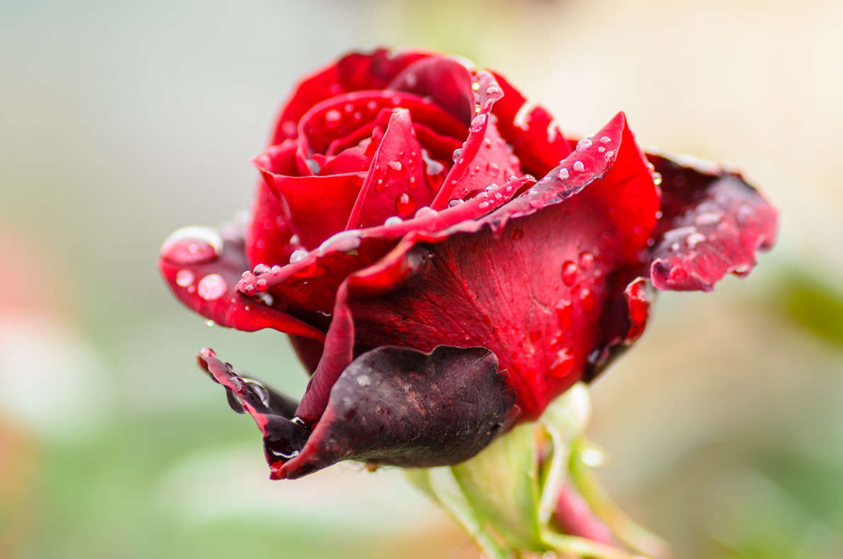 ������� ����� ����� ��������� ������� �� PhotoGeek.ru #����� #����� ��������������